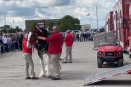 Busy Day at West Acres Features Clydesdales, Back