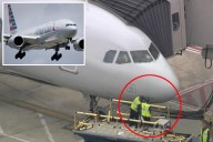 American Airlines flight strikes 'multiple' birds en route to San Fran from Philly