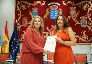 Los cabildos llevan al Parlamento su propuesta para blindar sus competencias