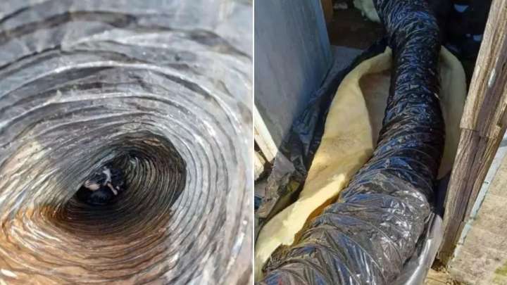 Pennsylvania Rescuers Heard Strange Sounds In A Trailer, What They Found Left Them Speechless