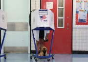 Una mujer es acusada de registrar a su perra para votar