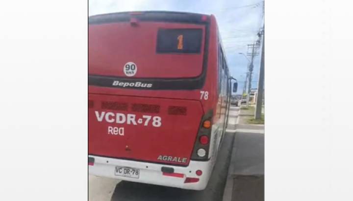 Indignante: chofer de bus de transporte público atropelló a perro y se dio a la fuga