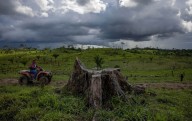Un nuevo estudio identifica el origen de la sequía en la Amazonía