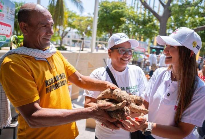 Gobierno del Cesar entregó insumos y herramientas agropecuarias a 9 asociaciones campesinas