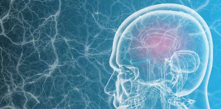 Evitar pérdidas activa más al cerebro que la expectativa de ganar