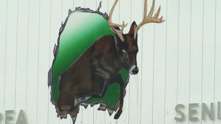 Deadline nears for Pine River High School Hall of Fame nominations