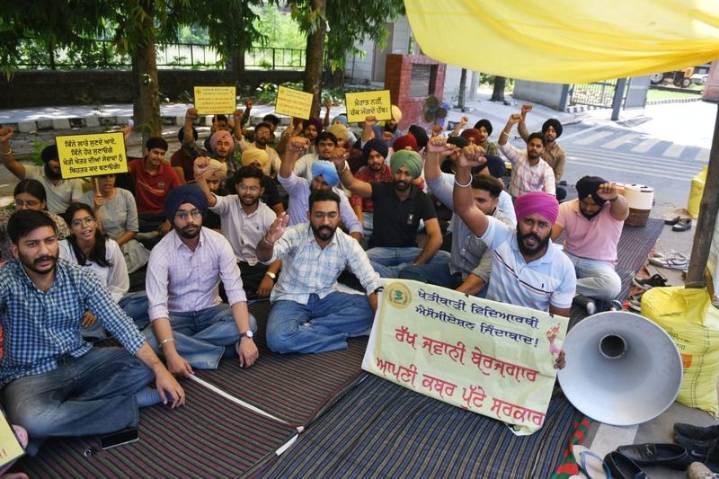 GADVASU and PAU students go on strike, demand solutions to long