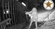 Car crashes into Danville foster ranch fence, search for driver continues