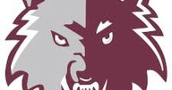 Prairie Ridge volleyball wins two at Wheaton Classic: Wednesday’s Northwest Herald Sports Roundup