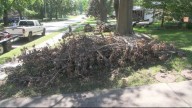 Storm debris pickup update from Springfield Public Works