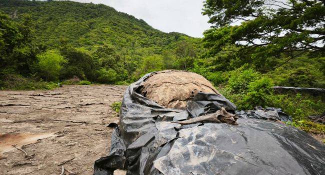 CAR impone medida por procesamiento ilegal de pieles bovinas en Cundinamarca