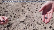 ASU researchers dig for ancient teeth in Ethiopia