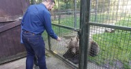 Livingston MP's visit to Five Sisters Zoo as popular attraction marks 20th anniversary