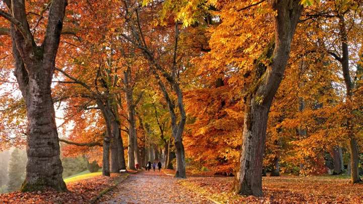 Equinoccio de otoño en Estados Unidos: la fecha exacta en que comienza en 2025