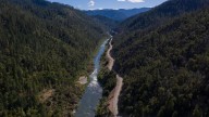 Video catches Chinook salmon passing upper Klamath River dam
