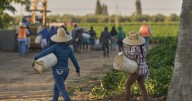 1.2 million immigrants are gone from the US labor force under Trump, preliminary data shows