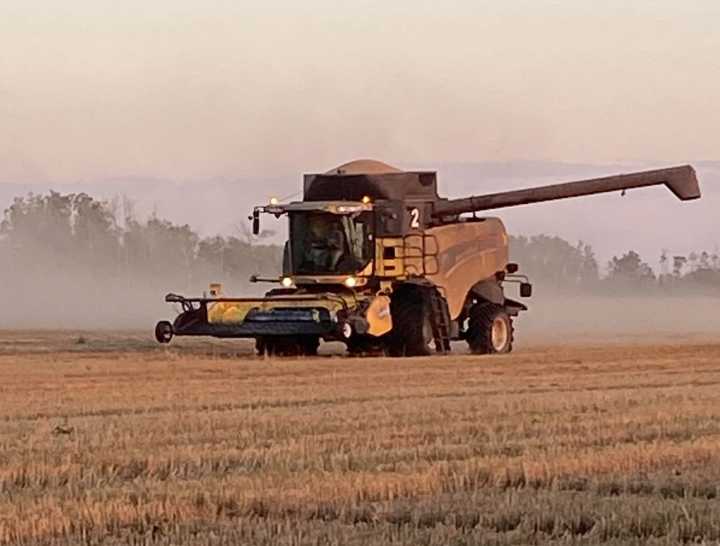 Harvest is in full swing in the area despite some cooler temperatires