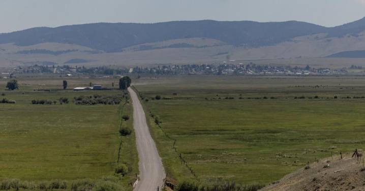 Grim smiles: The enduring mystery of cattle mutilations in Montana