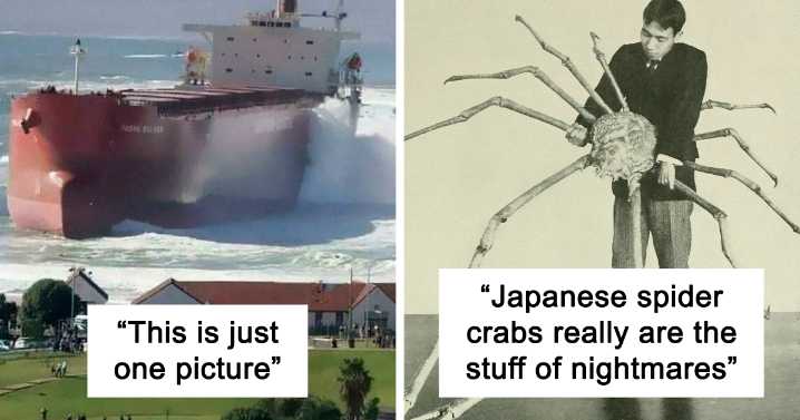 This Online Group Posts Pics Of Massive Things That Are A Big ‘Nope’ For People With Megalophobia