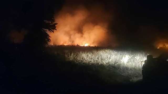 Firefighters battle brush fire in Talladega County