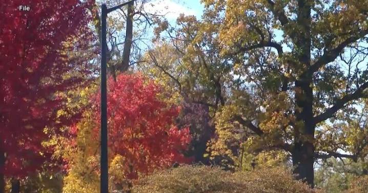 Fall colors could be vibrant this year