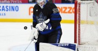 Maple Leafs sign goaltender Dennis Hildeby to three