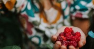 Best hidden gem foraging spots in Scotland to find free food this autumn