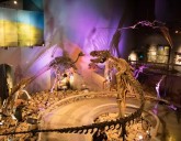 Museo del Desierto;  motivo suficiente para visitar Saltillo