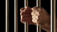 NCB Secures 12-Year Jail Term For Drug Trafficker Held In Bareilly