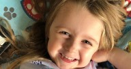 Devastated mum of toddler who died of unknown illness hits out at enquiry delay