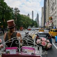 Central Park horse-drawn carriages face ride into the sunset