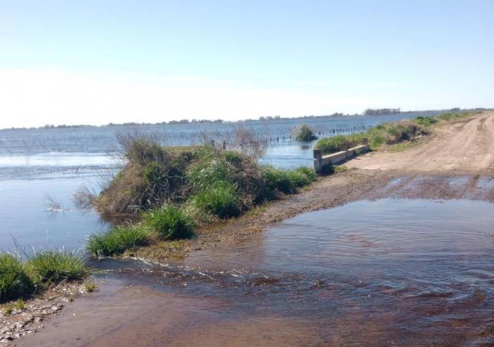 Inundaciones: activan emergencia agropecuaria en Buenos Aires ¿qué implica para el agro?