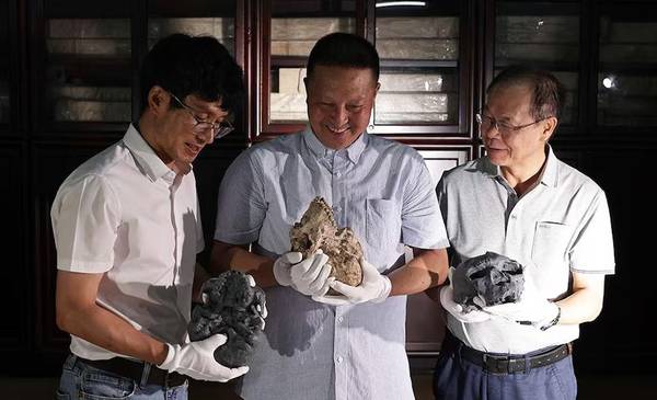 Evolución humana: un fósil pone en duda la historia