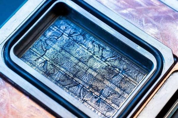 Prueba Microsoft nueva técnica para enfriar chips de IA