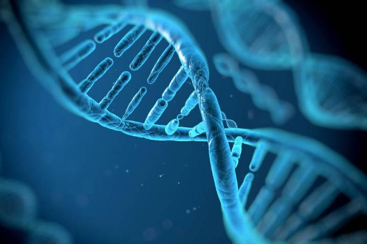 Top doc on how behavior can impact genetics: 'Our destiny is not fixed'