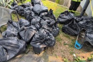 Aseguran 353 kilos de marihuana en canal