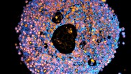Scientists Successfully 3D Bioprinted Miniature Placentas – And It Could Transform Pregnancy Research