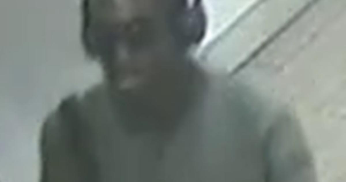 Victoria line : Police appeal after upskirting on train