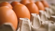 Alerta sanitaria en EE.?UU. por brote multies­tatal de Salmonella vinculado a huevos