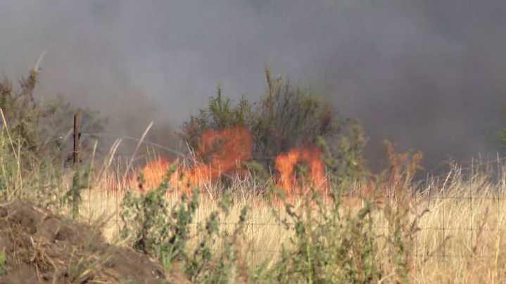 Fire Weather Watch issued for Puget Sound | Seattle weather forecast