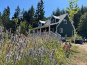 HomeExchange review: Testing travel site famously used in The Holiday