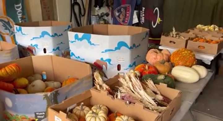 Fall home decor service craze comes to Colorado