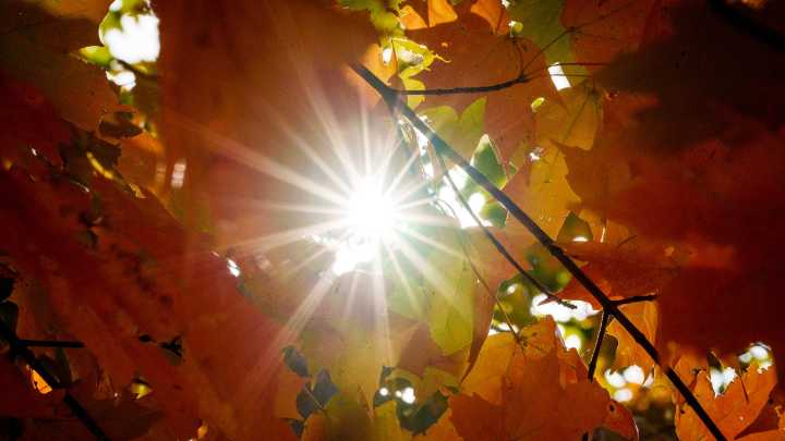 The autumn equinox happens on Sept. 22. What it means for Indiana.