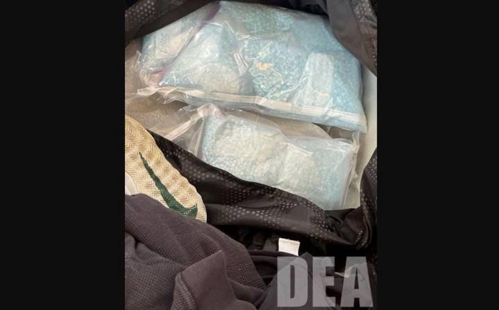 DEA Busts WA Smuggler With Enough Carfentanil to Kill 50K People