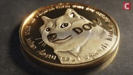 Dogecoin Price Rallies 4.5% as Traders React to Elon Musk’s New US Government Deal
