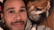 Lewis Hamilton mourning loss of beloved dog Roscoe