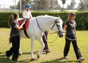 Equinoterapia, una terapia alternativa que transforma vidas