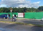 Interviene SEMA por la tala ilegal en la zona portuaria de Cozumel