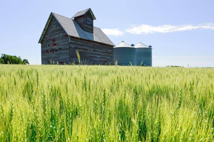 US farmers face ‘financial calamity’ without extra aid soon, Republican lawmakers say