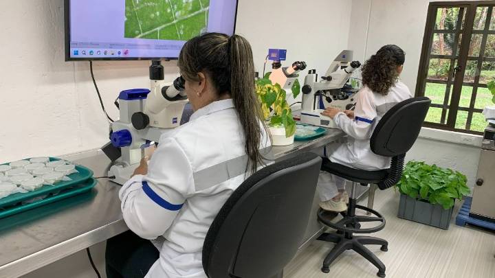 El desarrollo de tecnologías en la agricultura digital crece tres veces más rápido que el promedio